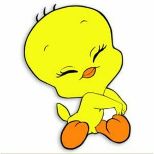 Meet your Posher, Kitty